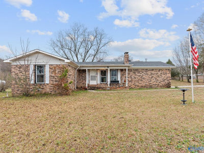 10 Pence Rd Somerville, AL 35670