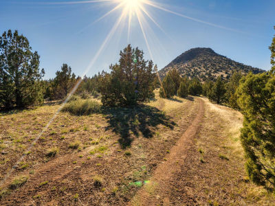 1755 Lost Coyote Ln Mitchell, OR 97750