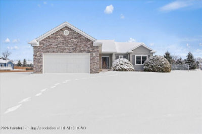 404 Haley Ct Laingsburg, MI 48848