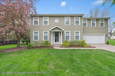 13176 Blackwood Dr Dewitt, MI 48820
