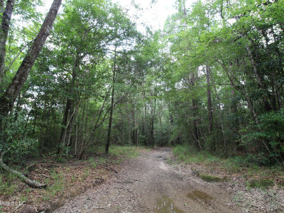 177/AC Burnis Havard Rd Perkinston, MS 39573