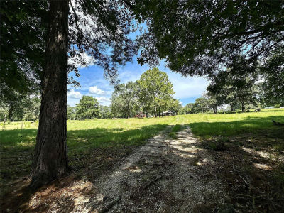 1080 Andrew Jackson Dr Livingston, TX 77351