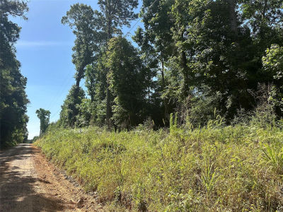 Oakdale Loop Livingston, TX 77351