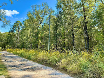 Wendy Way Livingston, TX 77351