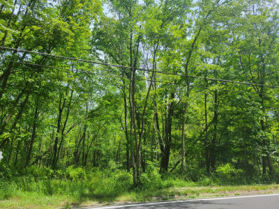 170 Schooleys Mountain Road, Long Valley, NJ, USA