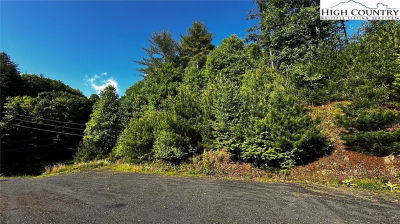 13 Peck Peak Rd Jefferson, NC 28640