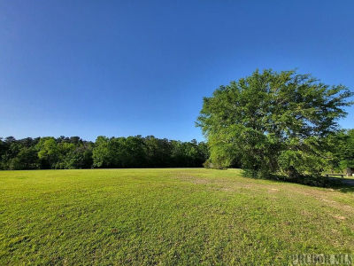 Anastasia Drive Joe Rice Ln Carriere, MS 39426