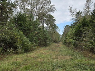 0 County Road 474 W Henderson, TX 75654