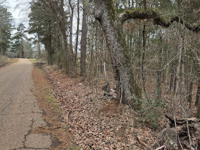 0 County Road 3206 Laneville, TX 75667