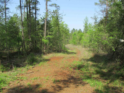 0 County Road 461 S Laneville, TX 75667