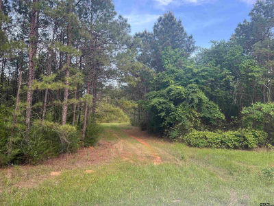 TRACT 3 County Road 477 W Henderson, TX 75654