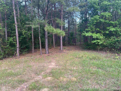 TRACT 2 County Road 477 W Henderson, TX 75654