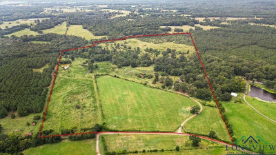 10434 County Road 366 E Henderson, TX 75654