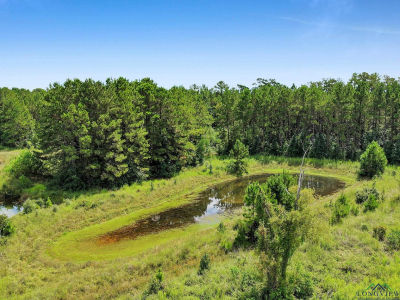 96 Tbd Us Hwy Kirbyville, TX 75956