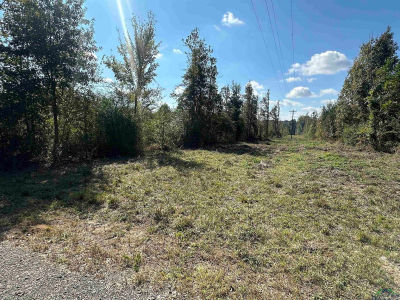 Fm 124 Beckville, TX 75631