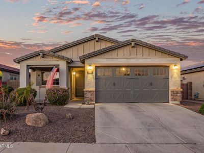 17142 W Diana Ave Waddell, AZ 85355