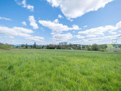 Mount Pleasant Rd #3 Lebanon, OR 97355