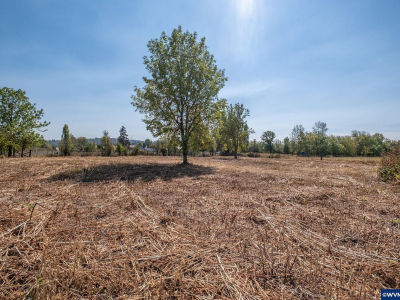 Tl 1700 6th Ave Scio, OR 97374