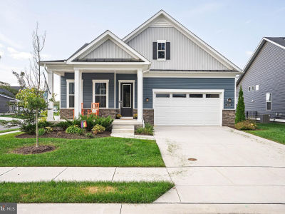 31080 Silver Maple Dr Lewes, DE 19958