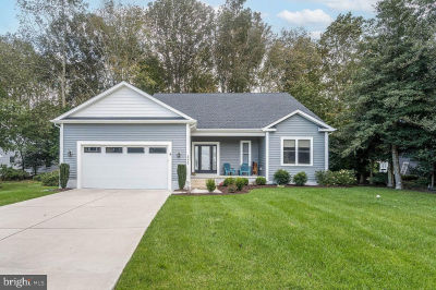 29445 Turnberry Dr Dagsboro, DE 19939