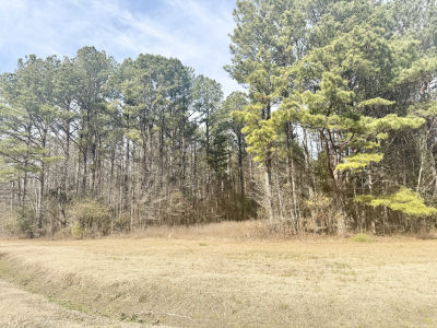 50002 Sunset Point Drive, Amory, MS, USA