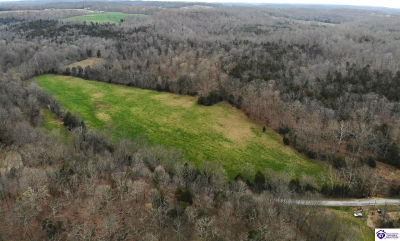 2728 Constantine Rd Cecilia, KY 42724