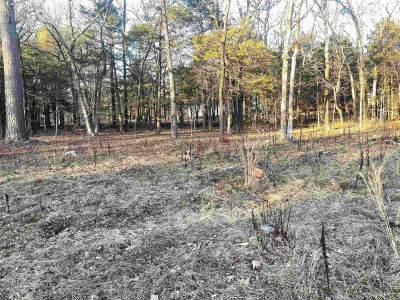 257 Cagle Rock Cir LOT 73 Russellville, AR 72802