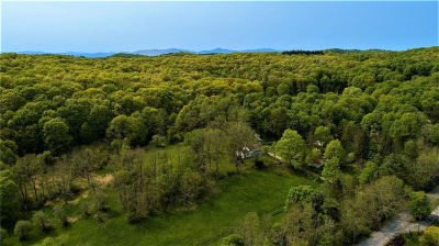 303 Hicks Hill Rd Stanfordville, NY 12581