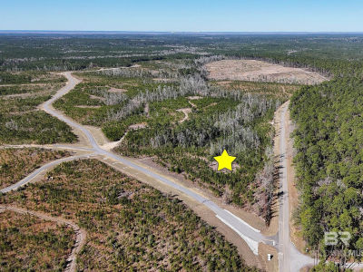 Canopy Ln #27 Bay Minette, AL 36507