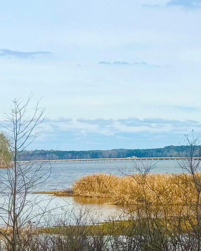 417 Tejas Dr W Hemphill, TX 75948