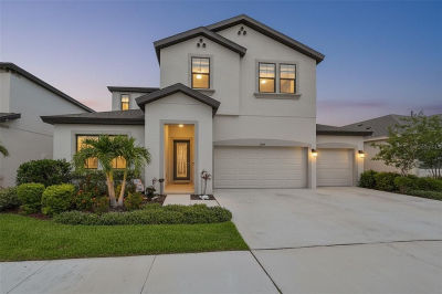 5379 Everlong Dr Apollo Beach, FL 33572