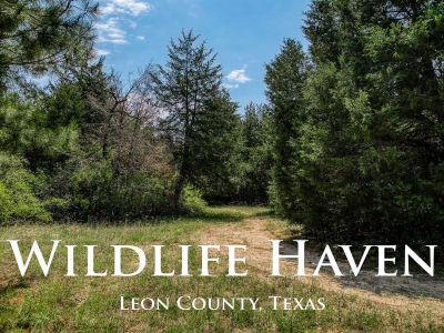 7266 County Road 449 Marquez, TX 77865