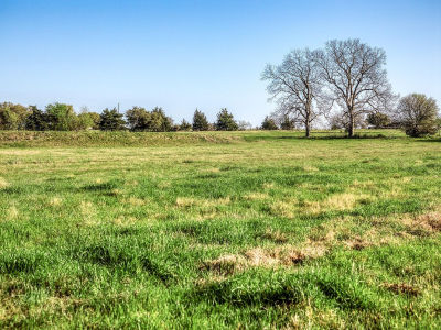 Tracts 10&11 Fieldcrest Ln Burton, TX 77835