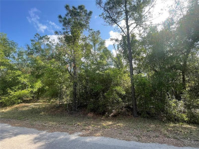 Sequoia Dr LOT 16 Ocklawaha, FL 32179
