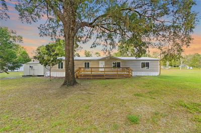 9160 NW 131st Ct Ocala, FL 34482