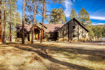456 Regal Pines Ct Pagosa Springs, CO 81147