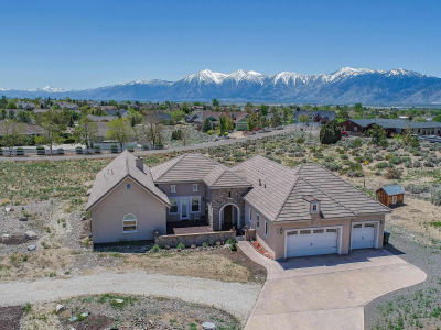 2704 Thirsty Magoo Ct Minden, NV 89423