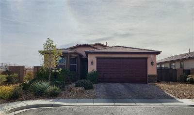 2039 Port Royal Dr Laughlin, NV 89029