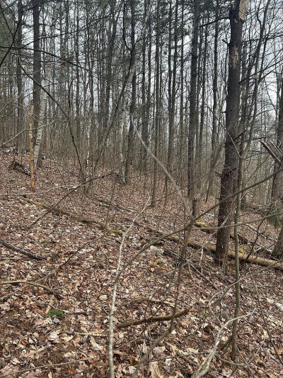 0 Birch Hill Rd Lawrenceville, PA 16929