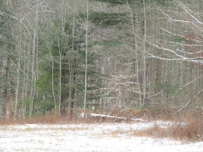 0 Bird Creek Rd Pine City, NY 14871