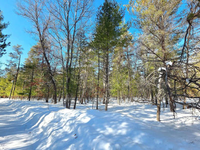 Vl 20 29 Monroe Ave Grayling, MI 49738