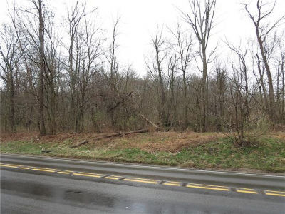 W McMurray Rd, Canonsburg, North Strabane, PA 15317, USA