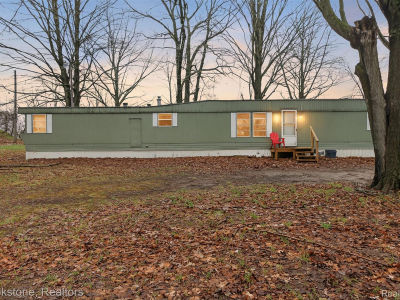 7291 Birch Ave Mecosta, MI 49332