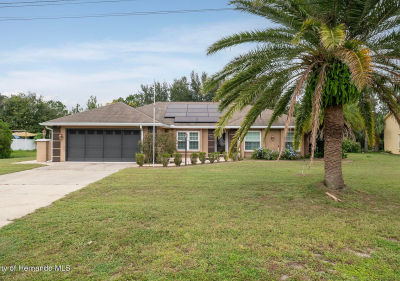 5223 Hamlet Cir Spring Hill, FL 34606