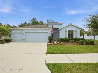 13897 Blythewood Dr Spring Hill, FL 34609
