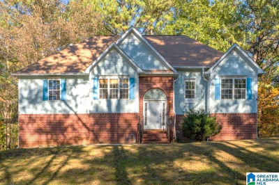 20210 Highway 55 Sterrett, AL 35147