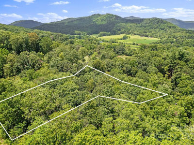 52 Dividing Ridge Trl Arden, NC 28704