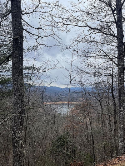 100 Ridge View Dr #11 Bryson City, NC 28713