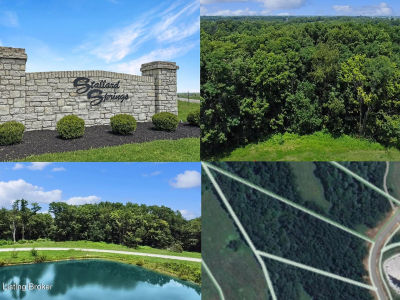 TRACT 46 Stallard Springs Boots Ct Shelbyville, KY 40065