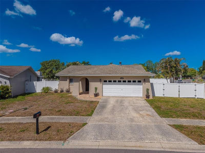 1603 W Orangecrest Ave Palm Harbor, FL 34683